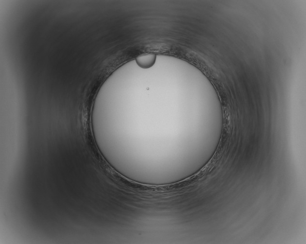 X0000102800745200808180932