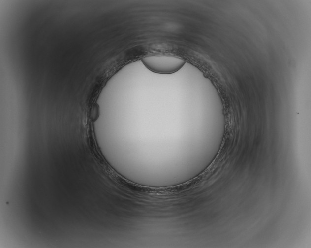 X0000102800749200808180932