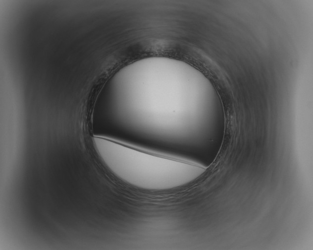 X0000102800750200808180932
