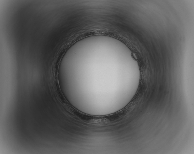 X0000102800752200808180932