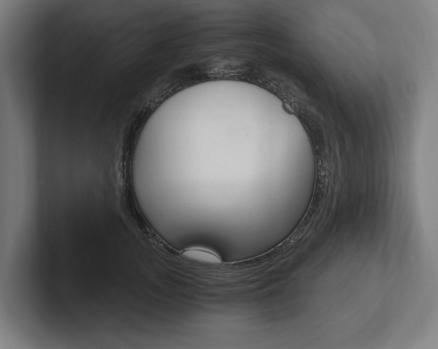 X0000102800755200808180932