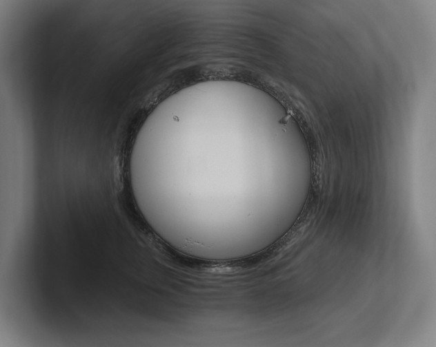 X0000102800759200808180932