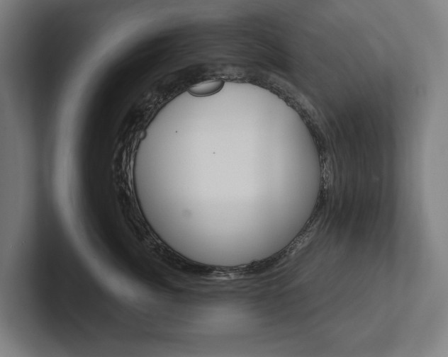 X0000102800764200808180932