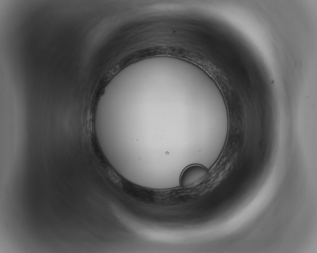 X0000102800766200808180932