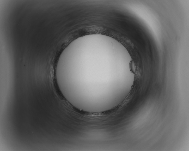 X0000102800767200808180932