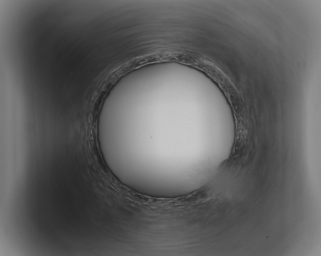 X0000102800773200808180932