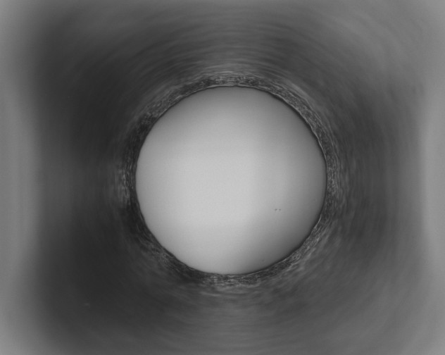 X0000102800774200808180932