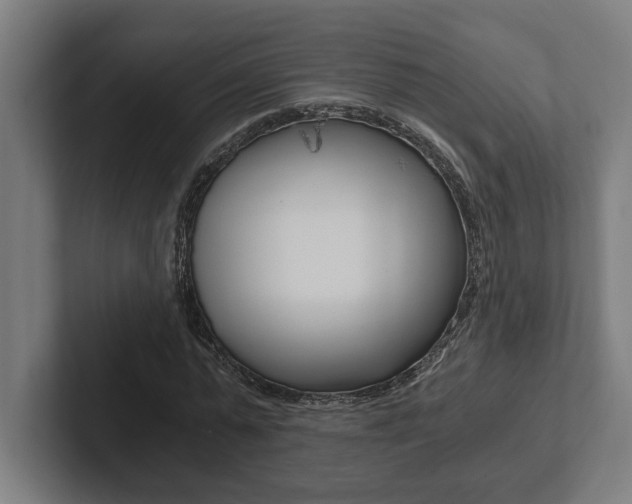 X0000102800775200808180932