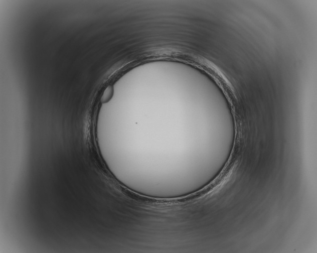 X0000102800778200808180932