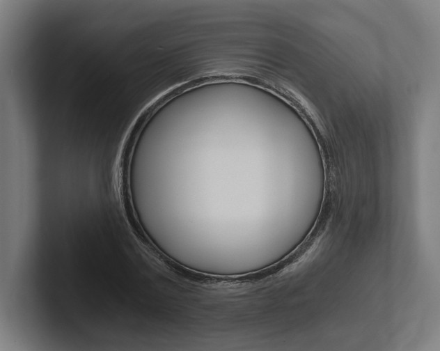 X0000102800779200808180932