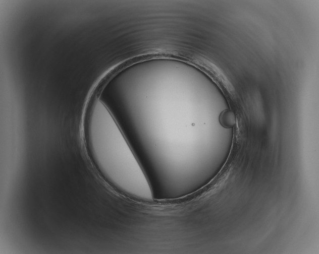 X0000102800780200808180932