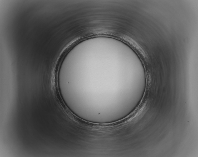 X0000102800782200808180932