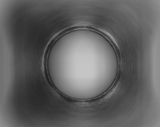 X0000102800783200808180932