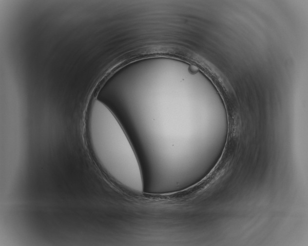 X0000102800786200808180932