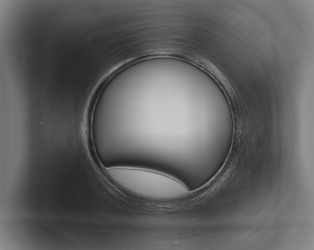 X0000102800787200808180931