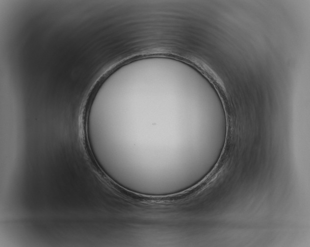 X0000102800789200808180931