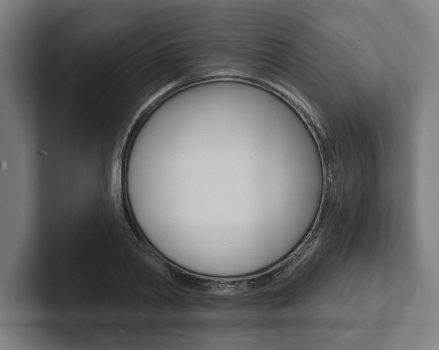 X0000102800790200808180931