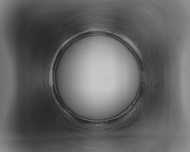 X0000102800791200808180931