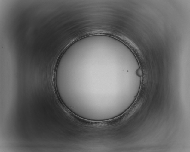 X0000102800793200808180931