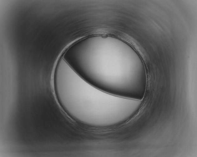 X0000102800795200808180931