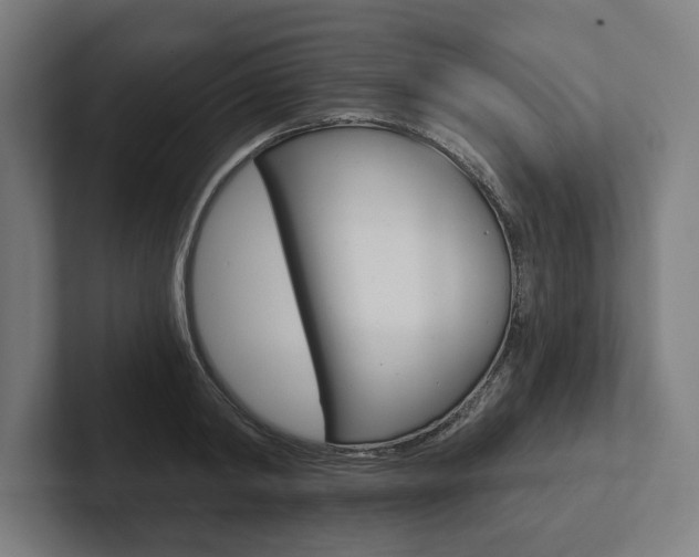 X0000102800798200808180931
