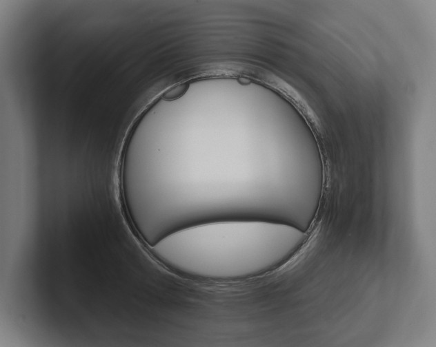 X0000102800802200808180931