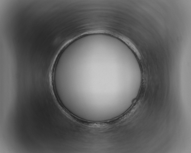 X0000102800805200808180931
