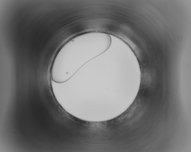 X0000102800807200808180931