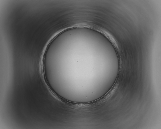 X0000102800808200808180931