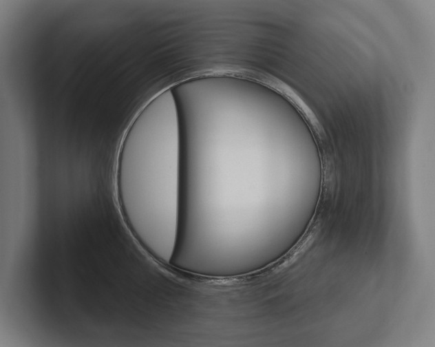 X0000102800810200808180931