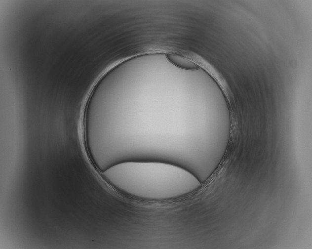 X0000102800811200808180931