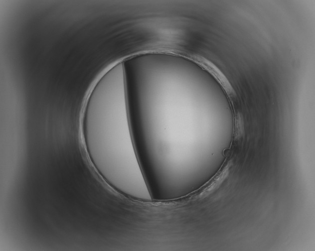 X0000102800812200808180931