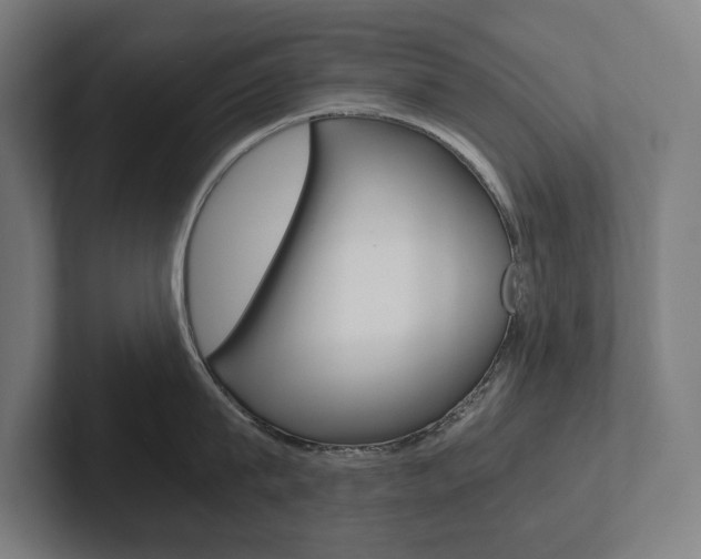 X0000102800815200808180931