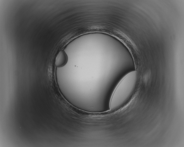 X0000102800825200808180931