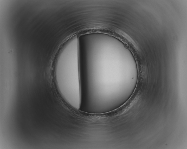X0000102800826200808180931