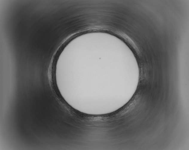 X0000102800828200808180931