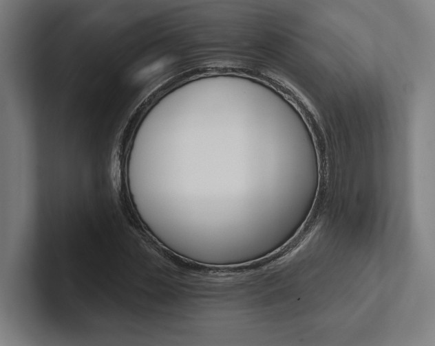 X0000102800829200808180931