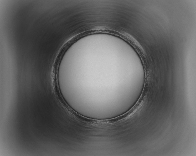X0000102800831200808180931