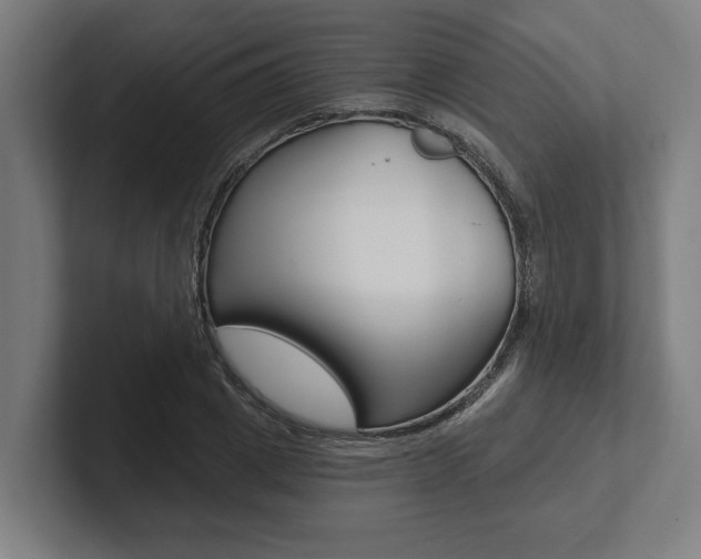 X0000102800833200808180931