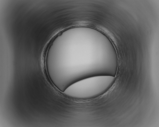 X0000102800835200808180931