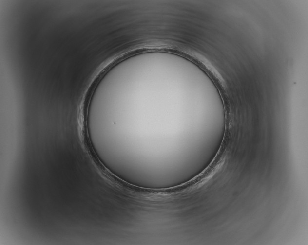 X0000102800837200808180931