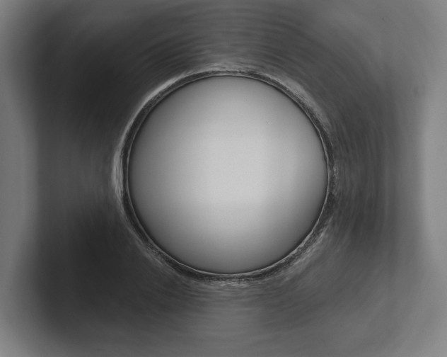X0000102800838200808180931