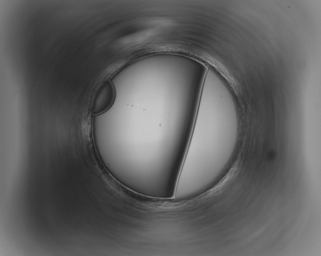 X0000102800841200808180931