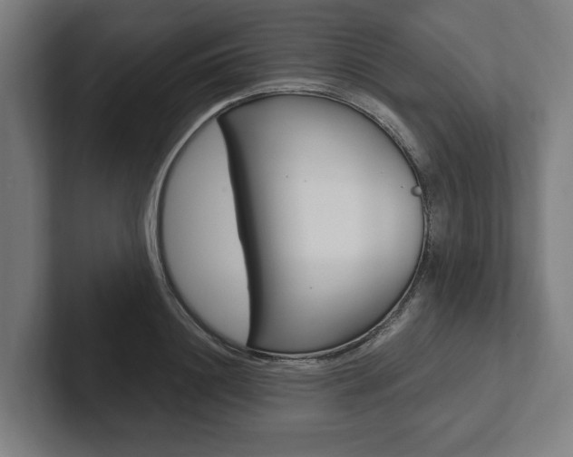 X0000102800844200808180931