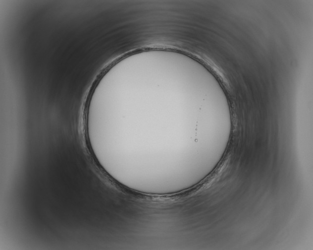 X0000102800848200808180931