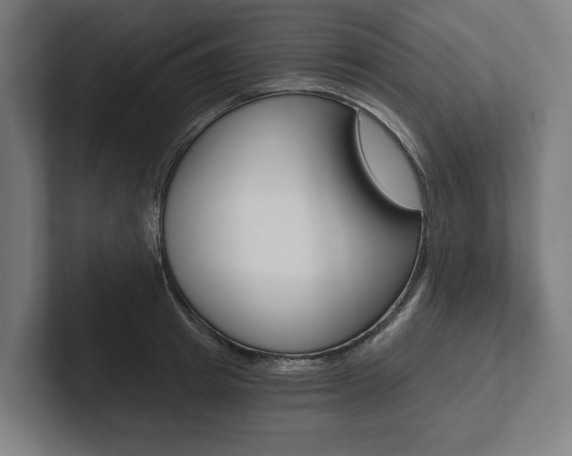 X0000102800849200808180931