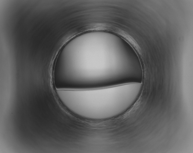 X0000102800850200808180931