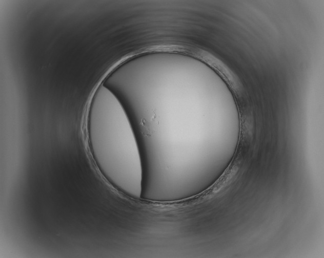 X0000102800852200808180931