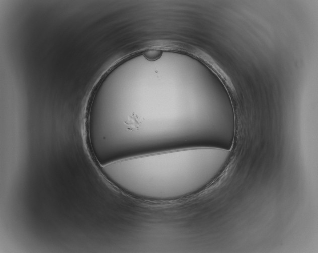 X0000102800853200808180931