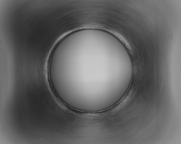 X0000102800854200808180931